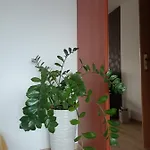 Pomaranczowa Appartement *