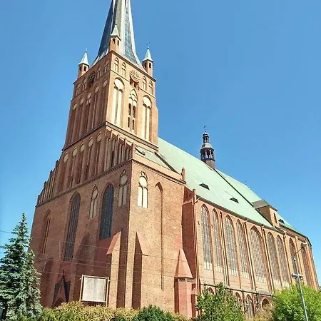 Pomaranczowa
