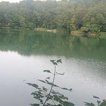 Pomaranczowa Apartmán *