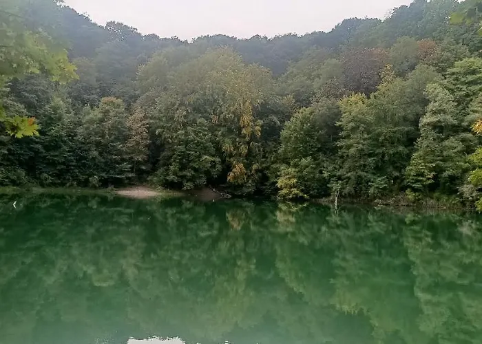 Pomaranczowa Apartamento Estetino