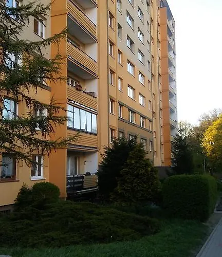 Pomaranczowa * Estetino