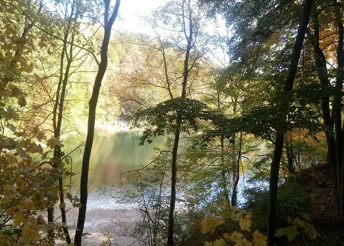 Pomaranczowa Szczecin